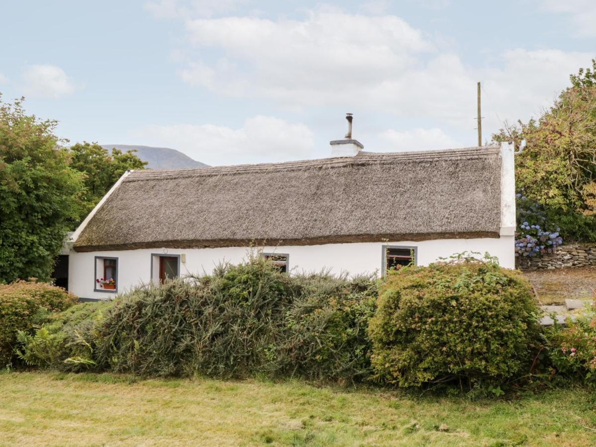 The Thatched Cottage Liscarney Екстер'єр фото